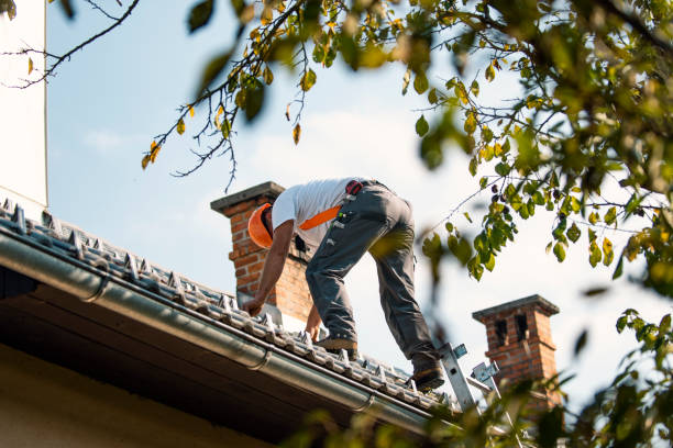 Best Roof Gutter Cleaning  in Dayton, MN