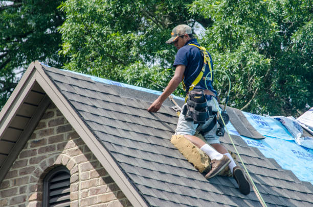 Roof Installation Near Me in Dayton, MN